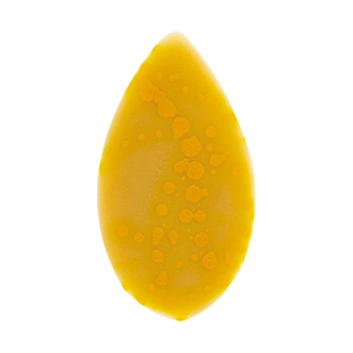 Mini-Blaadje Vlekjes