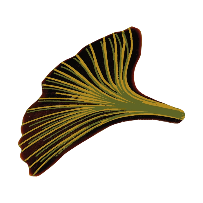 Blaadje Ginkgo