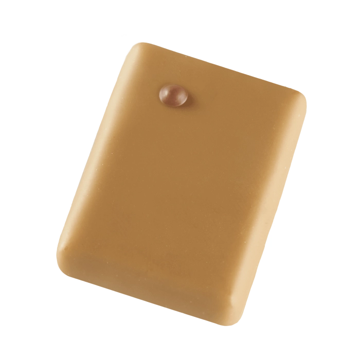 Promesse Noisette 60% praliné bonbon dulcey
